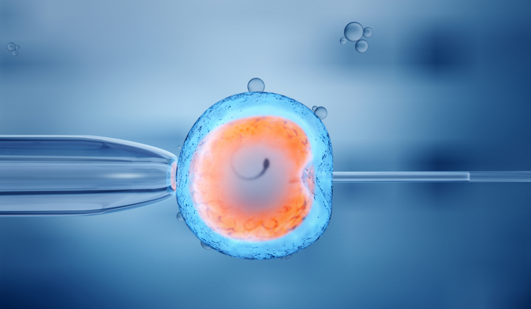 Embryo Selection and IQ